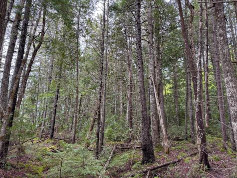 M7l16 Upper Pug Road W Lakeville ME 04487