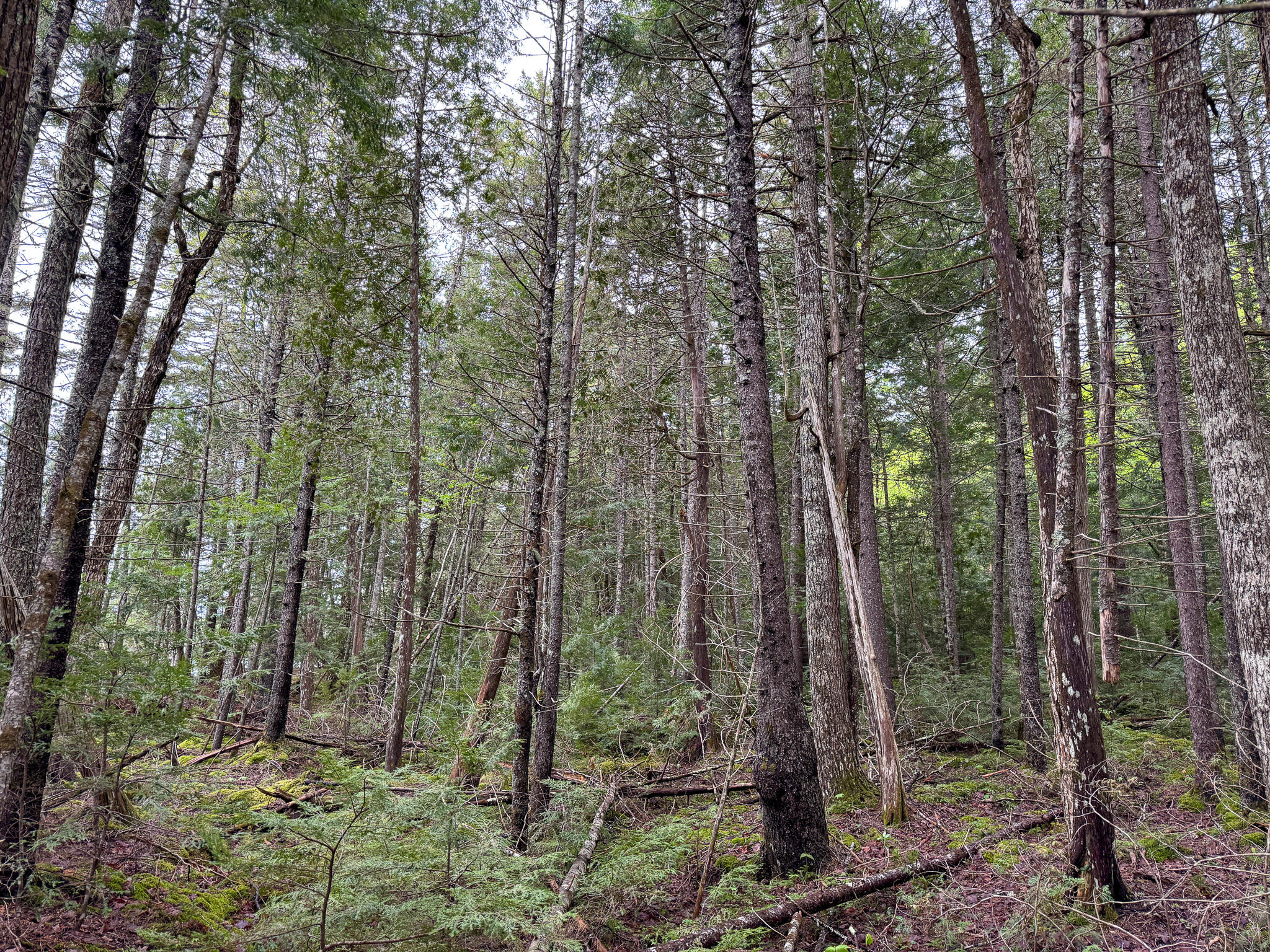 M7L16 Upper Pug Road W Lakeville ME 04487
