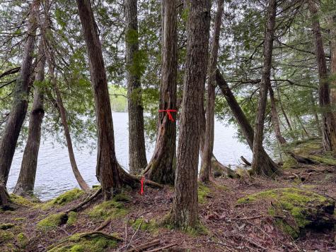 M7l16 Upper Pug Road W Lakeville ME 04487