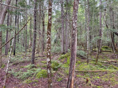 M7l16 Upper Pug Road W Lakeville ME 04487