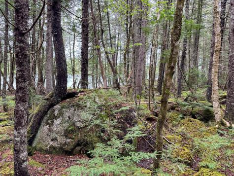 M7l16 Upper Pug Road W Lakeville ME 04487