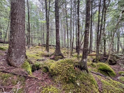 M7l16 Upper Pug Road W Lakeville ME 04487