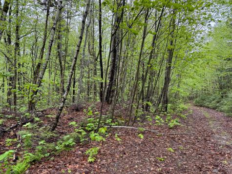 M7l16 Upper Pug Road W Lakeville ME 04487