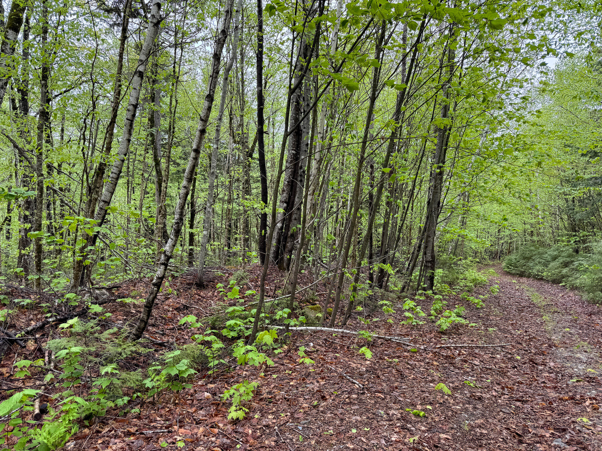 M7L16 Upper Pug Road W Lakeville ME 04487