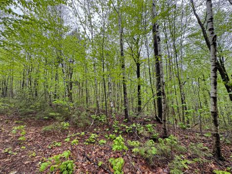 M7l16 Upper Pug Road W Lakeville ME 04487