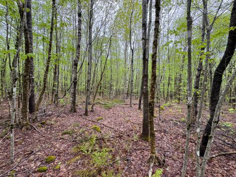 M7l16 Upper Pug Road W Lakeville ME 04487