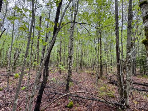 M7l16 Upper Pug Road W Lakeville ME 04487