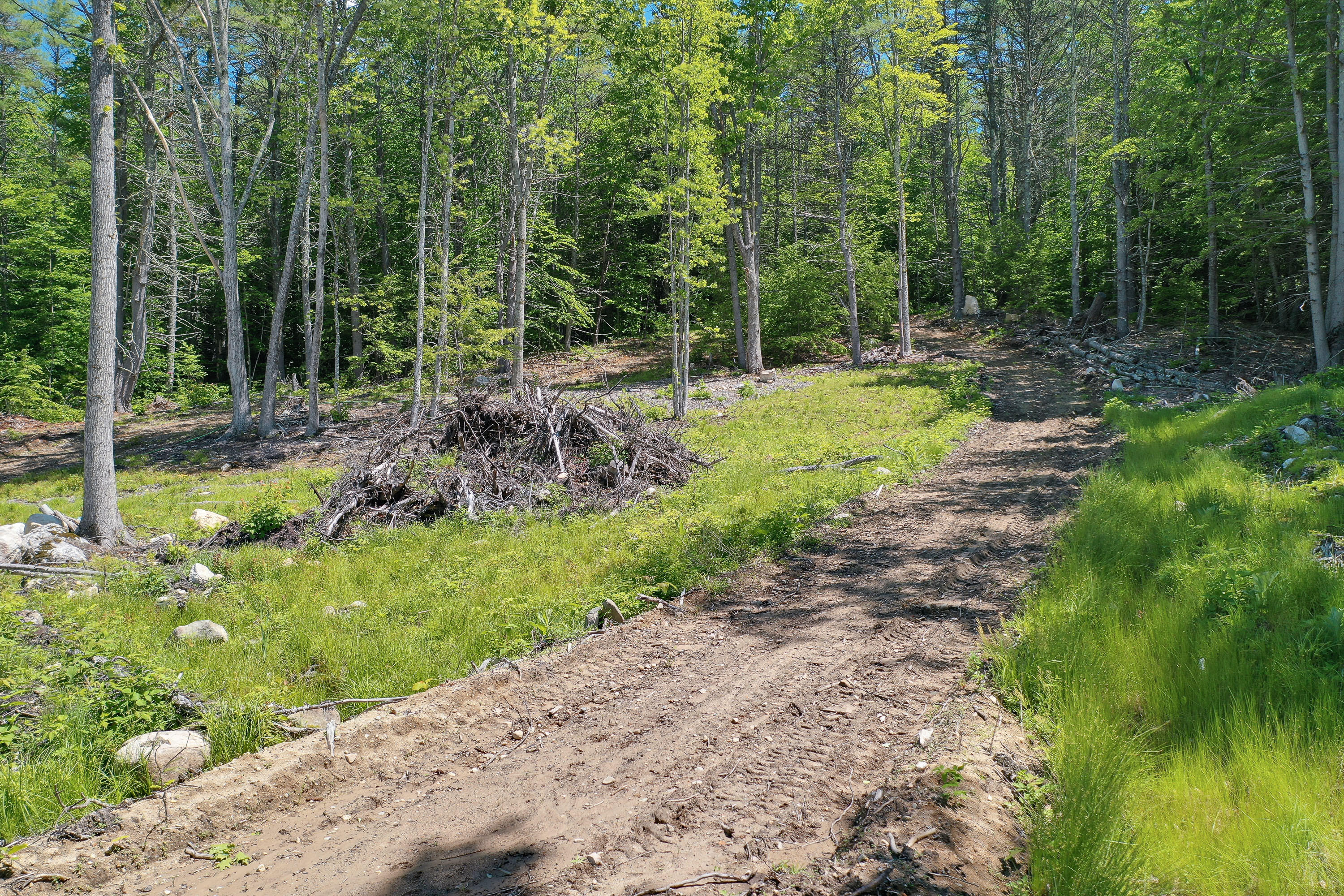 264 23rd Street Loop Road Shapleigh ME 04076