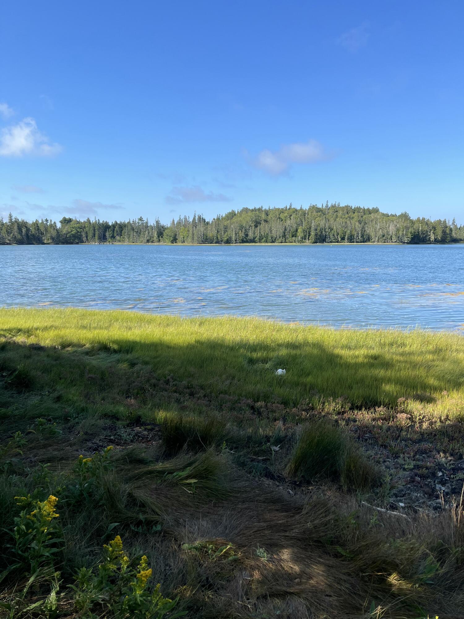 Lot #1 Southern Harbor Cove North Haven ME 04853