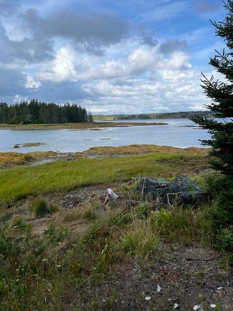 Lot #1 Southern Harbor Cove North Haven ME 04853