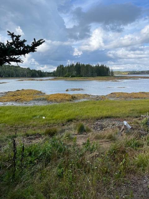 Lot #1 Southern Harbor Cove North Haven ME 04853