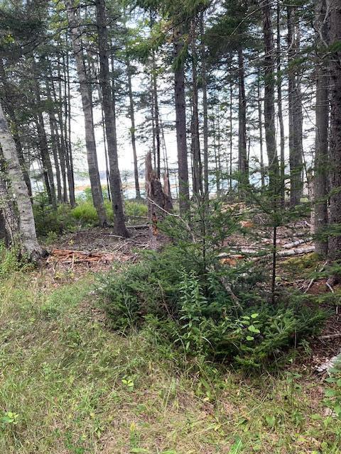 Lot #1 Southern Harbor Cove North Haven ME 04853