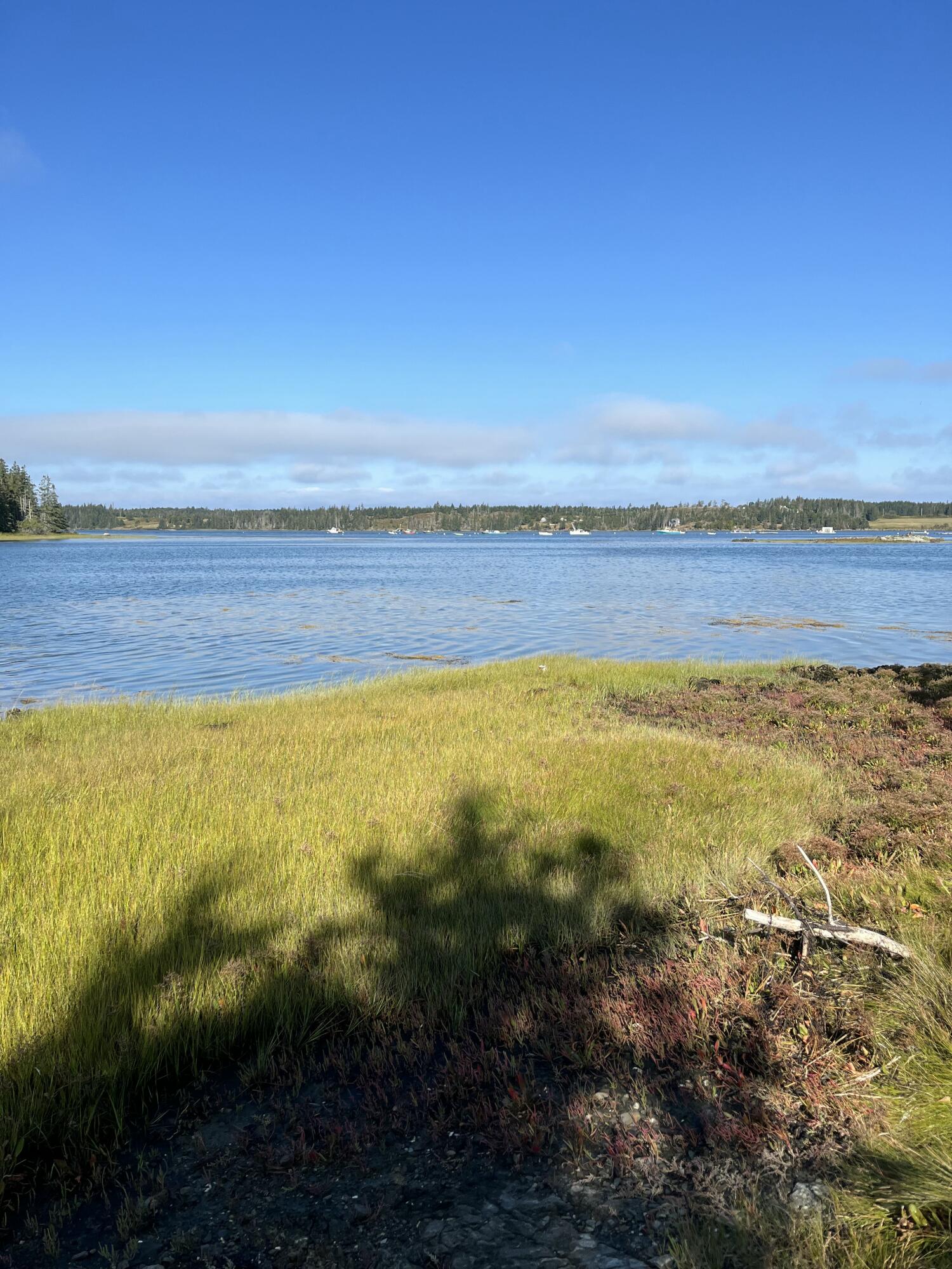 Lot #1 Southern Harbor Cove North Haven ME 04853