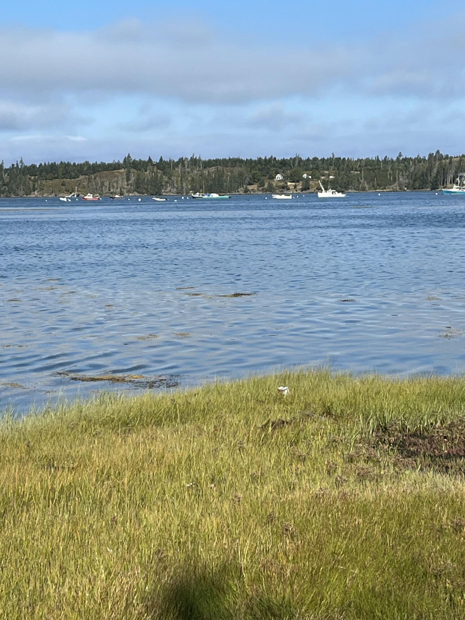 Lot #1 Southern Harbor Cove North Haven ME 04853