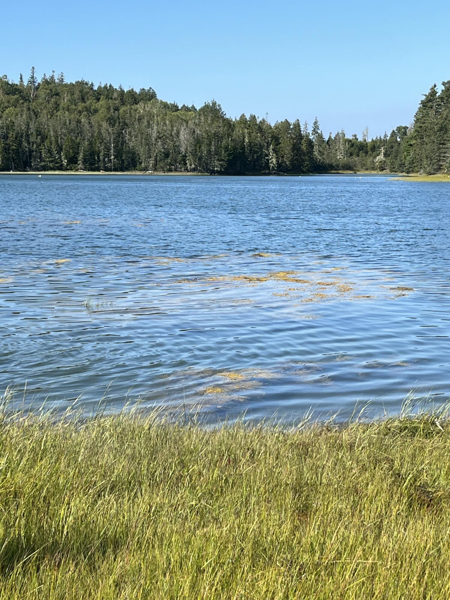 Lot #1 Southern Harbor Cove North Haven ME 04853