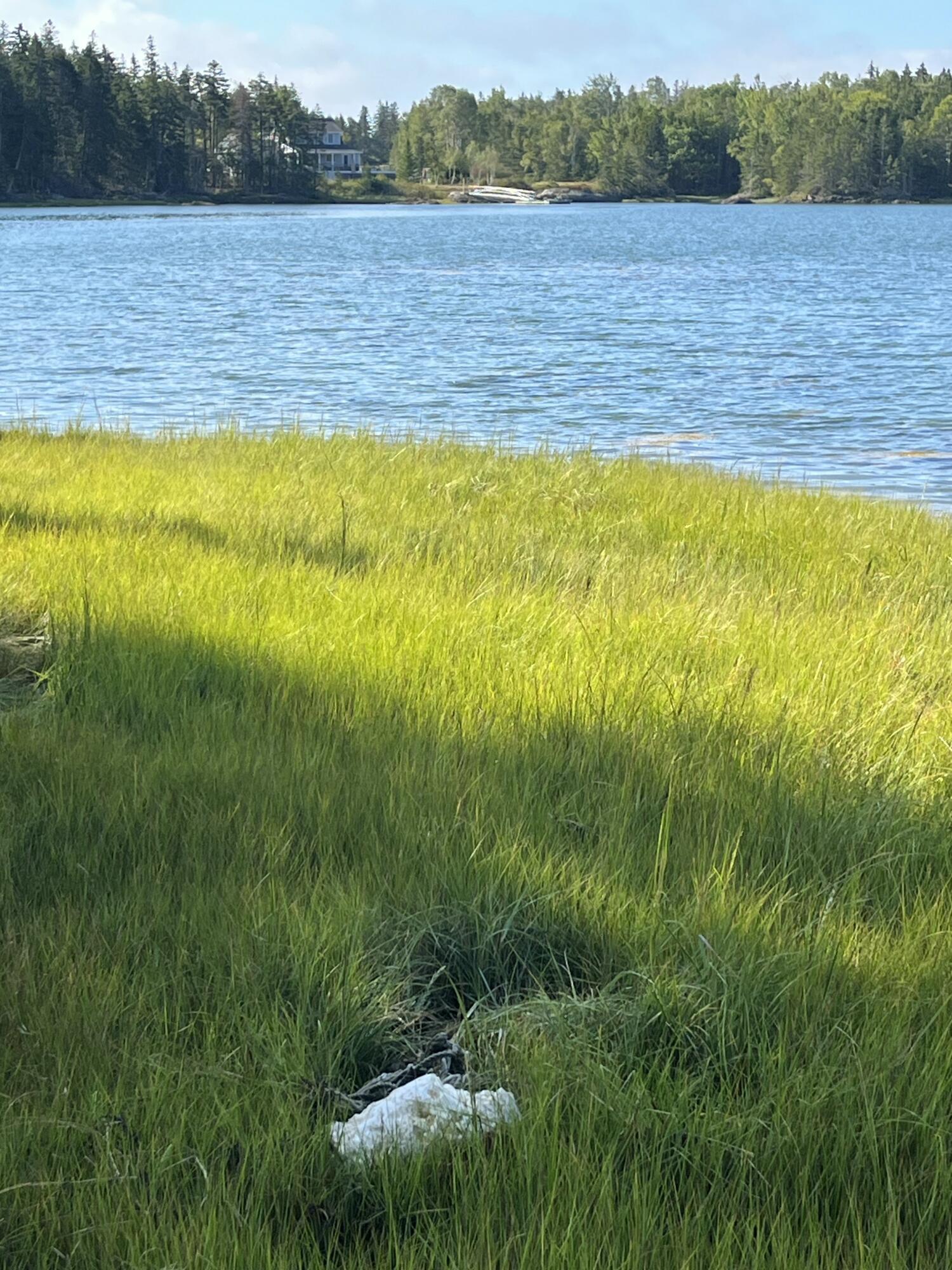 Lot #1 Southern Harbor Cove North Haven ME 04853