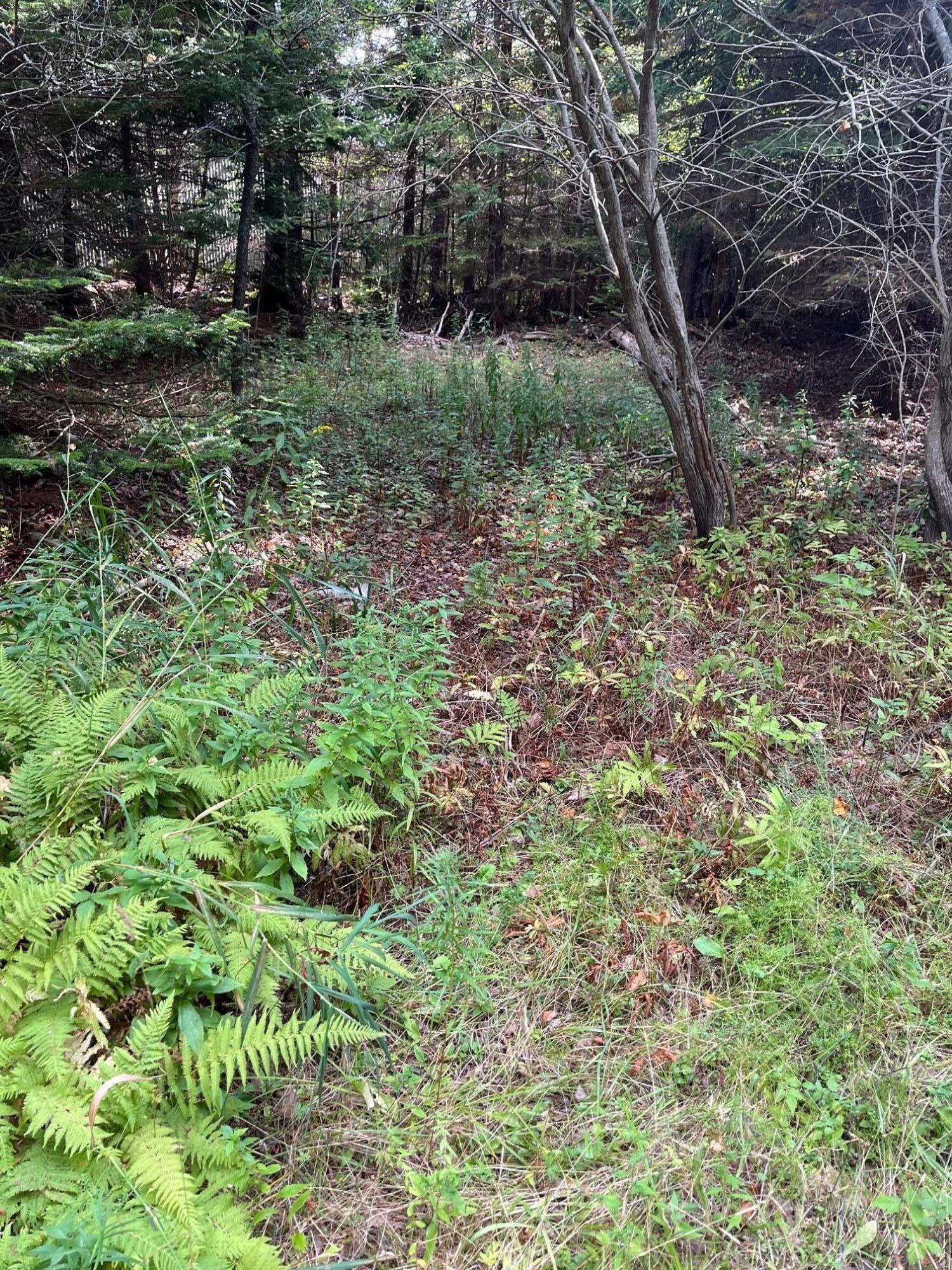 Lot #1 Southern Harbor Cove North Haven ME 04853