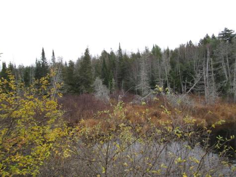 Lot 25 Medford Center Medford ME 04463