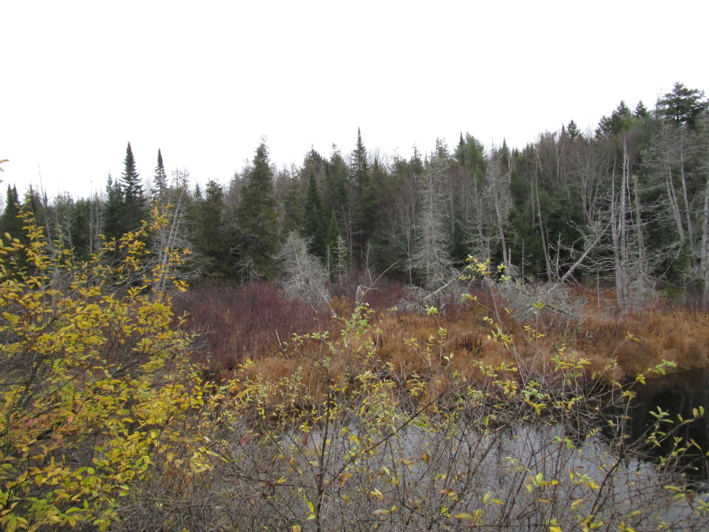 Lot 25 Medford Center Medford ME 04463
