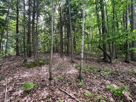 Map 1 Lot 10-10 Sheridan Drive Fairfield ME 04937