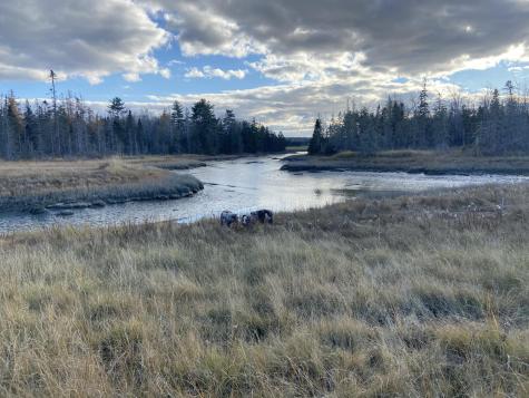 87 Woodcock Lane Lamoine ME 04605