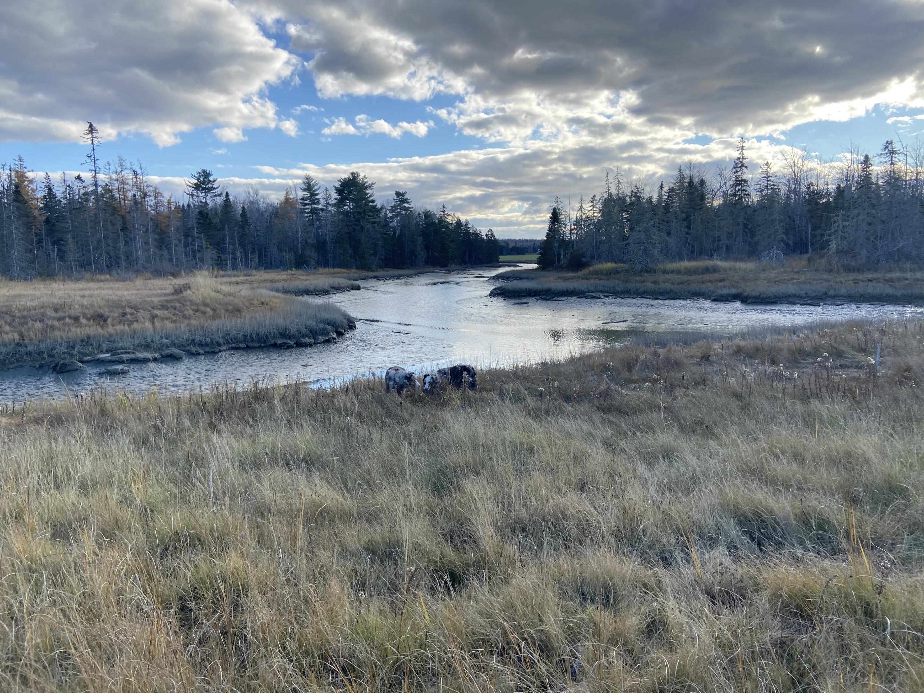 87 Woodcock Lane Lamoine ME 04605