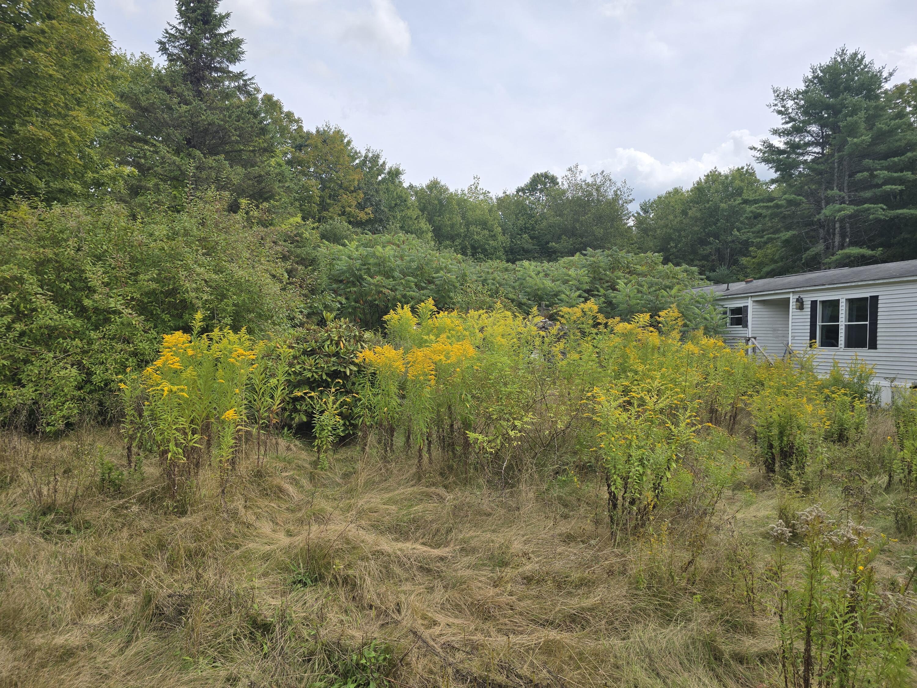 105 Old Sheepscot Road Wiscasset ME 04578