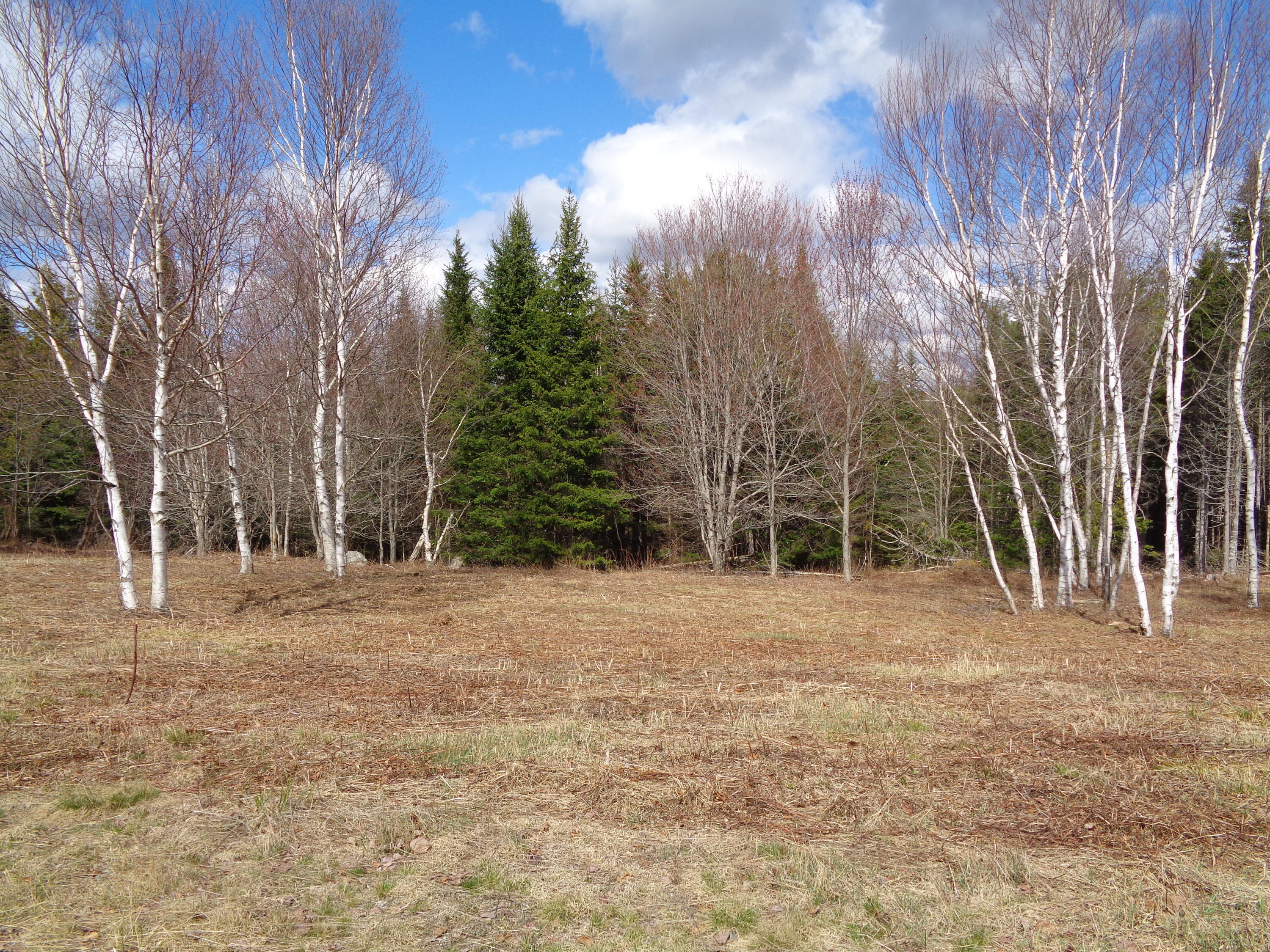 Lot 19 Bailey Mountain Road Franklin ME 04634