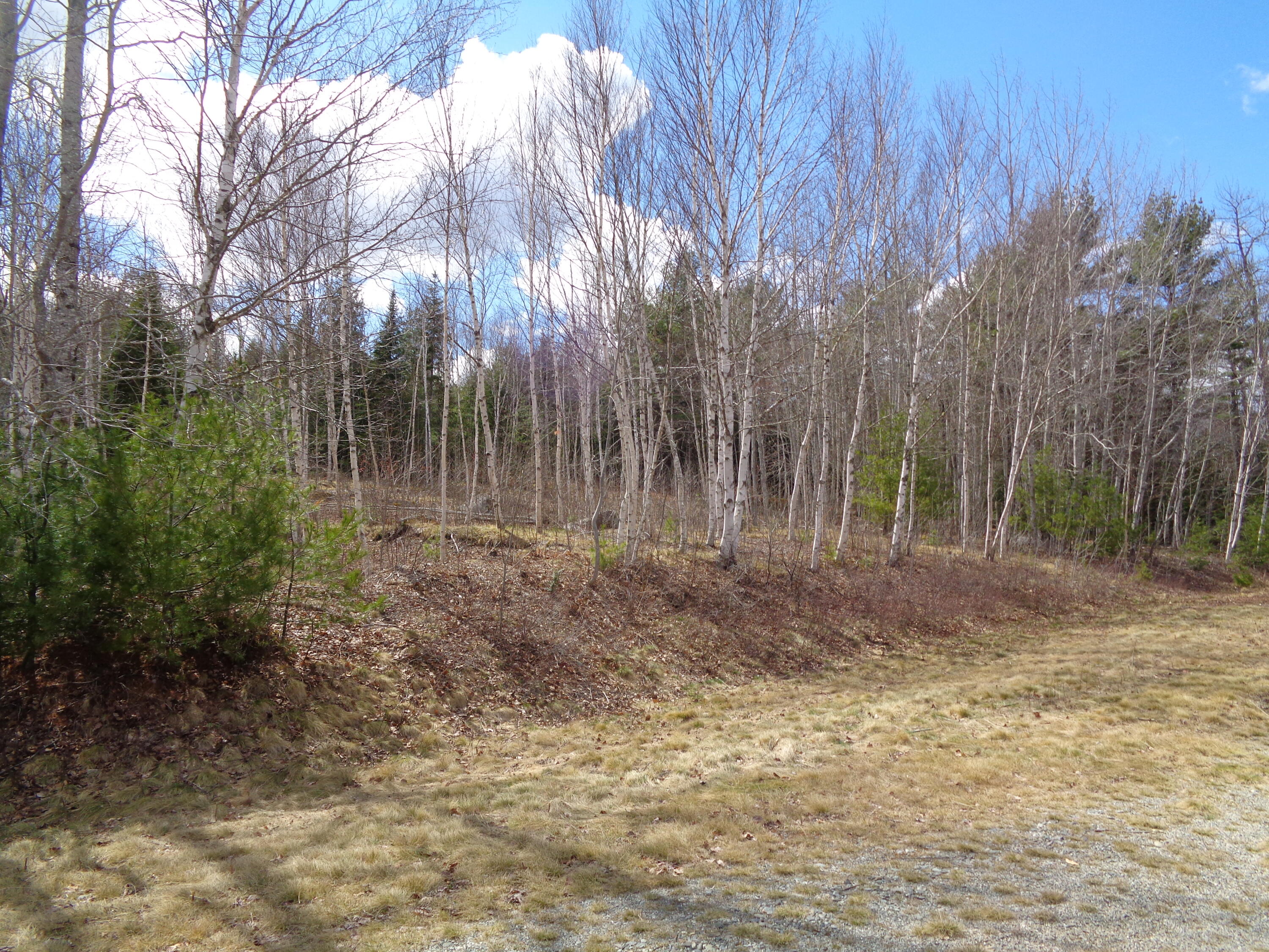 Lot 19 Bailey Mountain Road Franklin ME 04634
