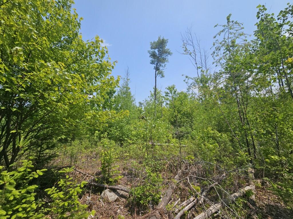 2016 2016 Hudson Road Hudson ME 04449