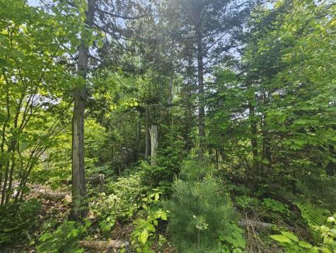2016 2016 Hudson Road Hudson ME 04449