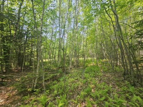 2016 2016 Hudson Road Hudson ME 04449