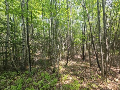 2016 2016 Hudson Road Hudson ME 04449