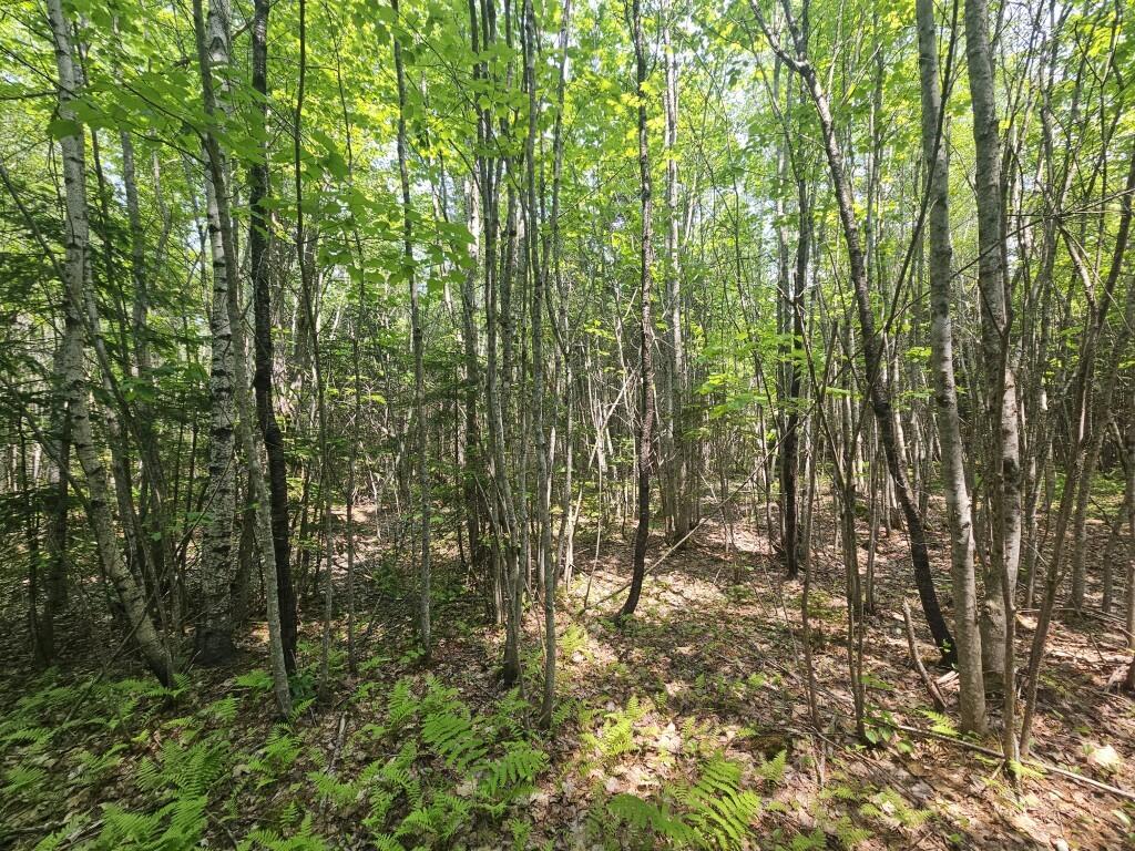 2016 2016 Hudson Road Hudson ME 04449