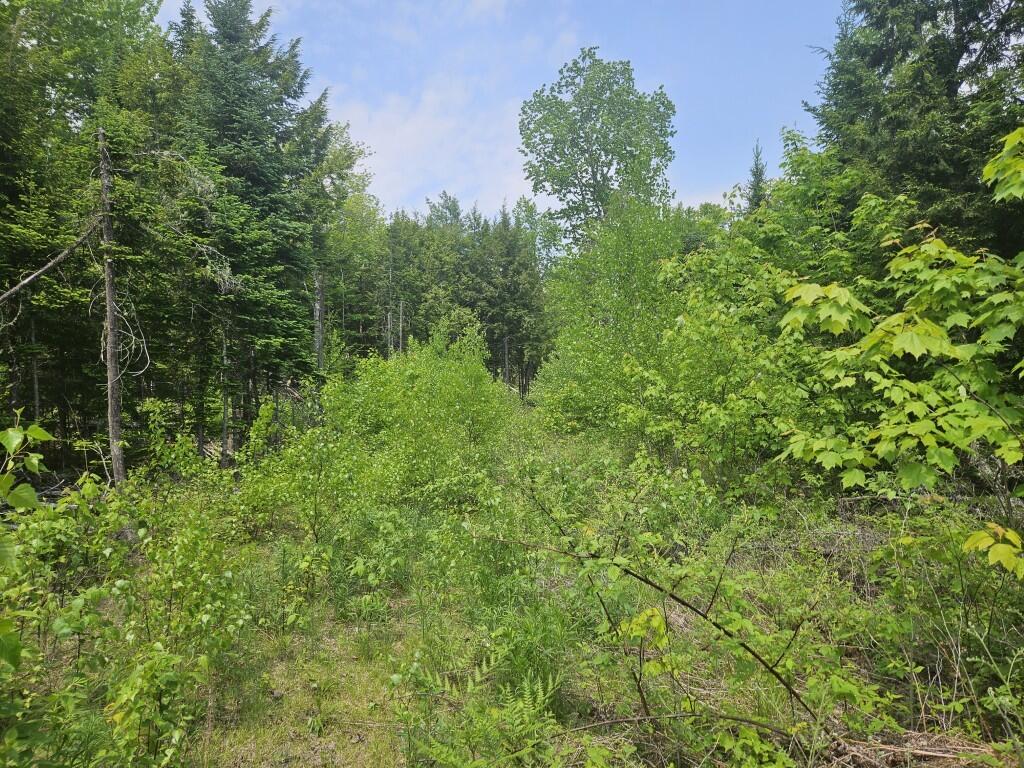 2016 2016 Hudson Road Hudson ME 04449