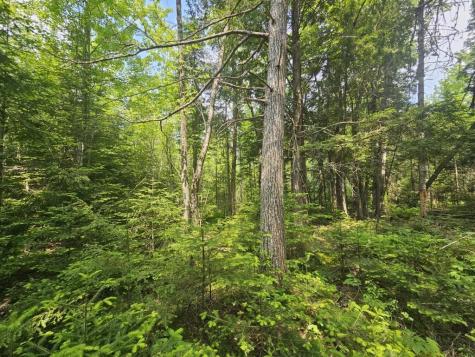 2016 2016 Hudson Road Hudson ME 04449