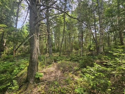 2016 2016 Hudson Road Hudson ME 04449