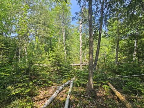 2016 2016 Hudson Road Hudson ME 04449
