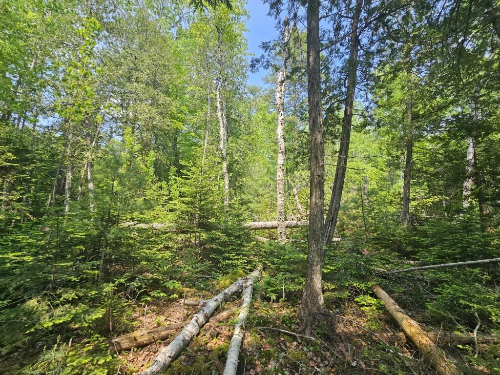 2016 2016 Hudson Road Hudson ME 04449