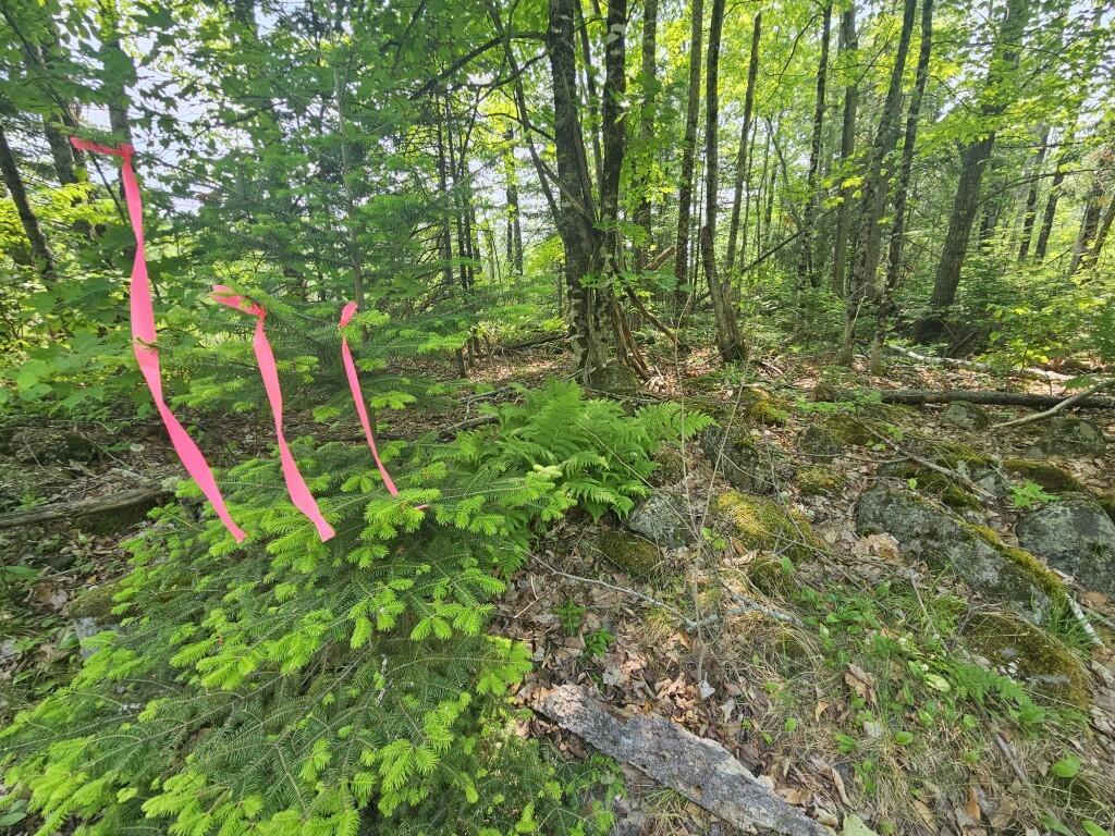 2016 2016 Hudson Road Hudson ME 04449