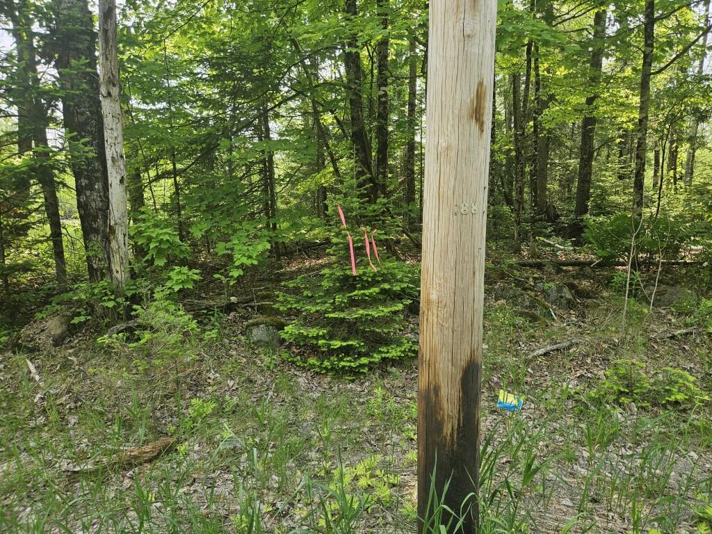2016 2016 Hudson Road Hudson ME 04449