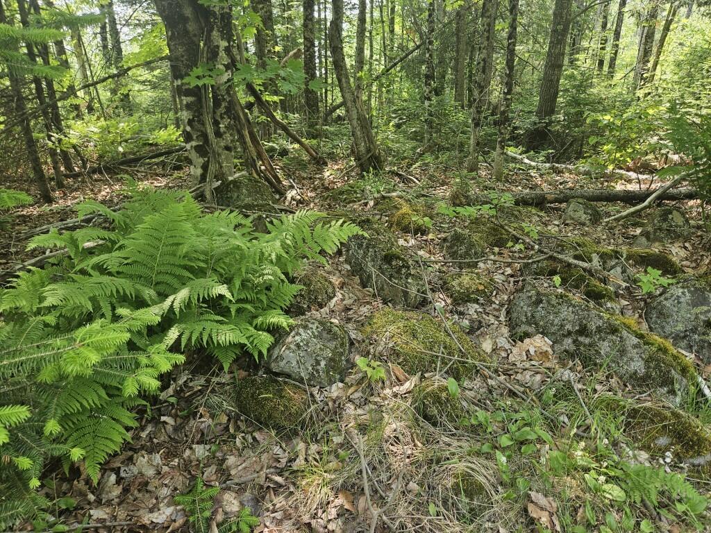 2016 2016 Hudson Road Hudson ME 04449