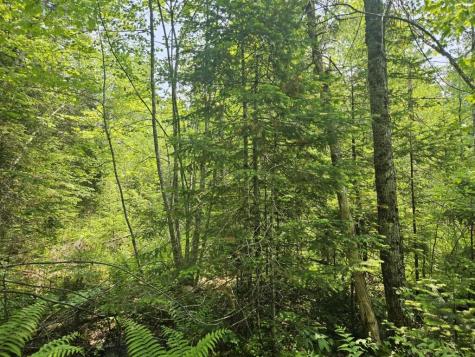 2016 2016 Hudson Road Hudson ME 04449