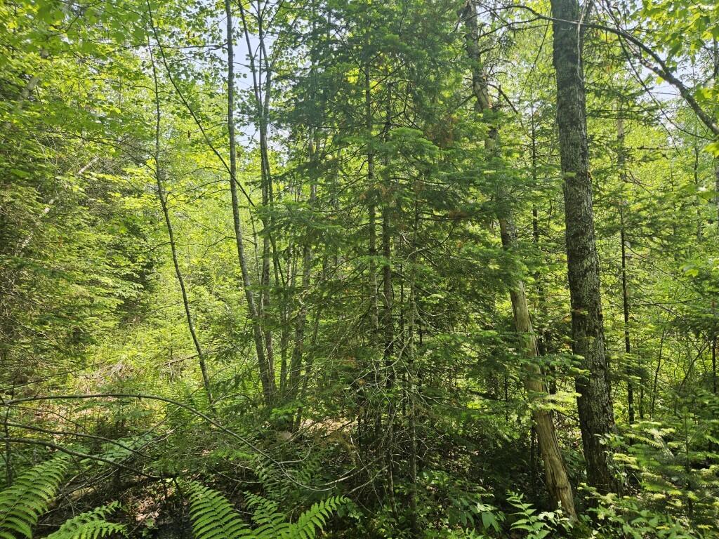 2016 2016 Hudson Road Hudson ME 04449