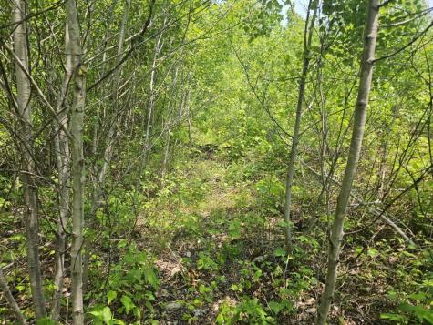 2016 2016 Hudson Road Hudson ME 04449