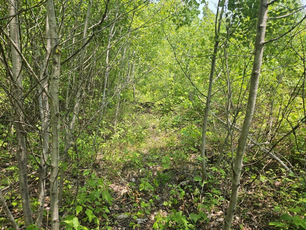 2016 2016 Hudson Road Hudson ME 04449