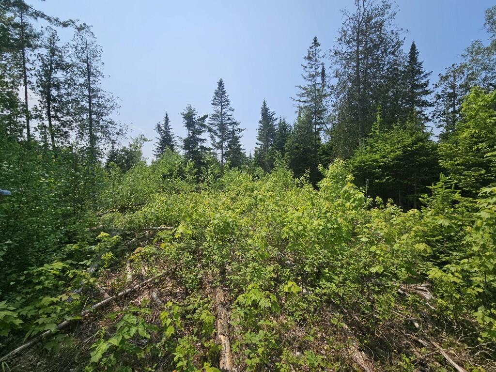 2016 2016 Hudson Road Hudson ME 04449