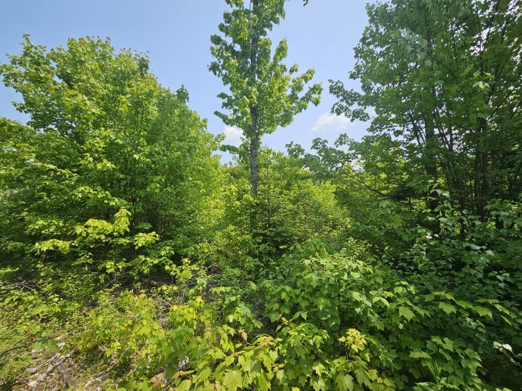 2016 2016 Hudson Road Hudson ME 04449