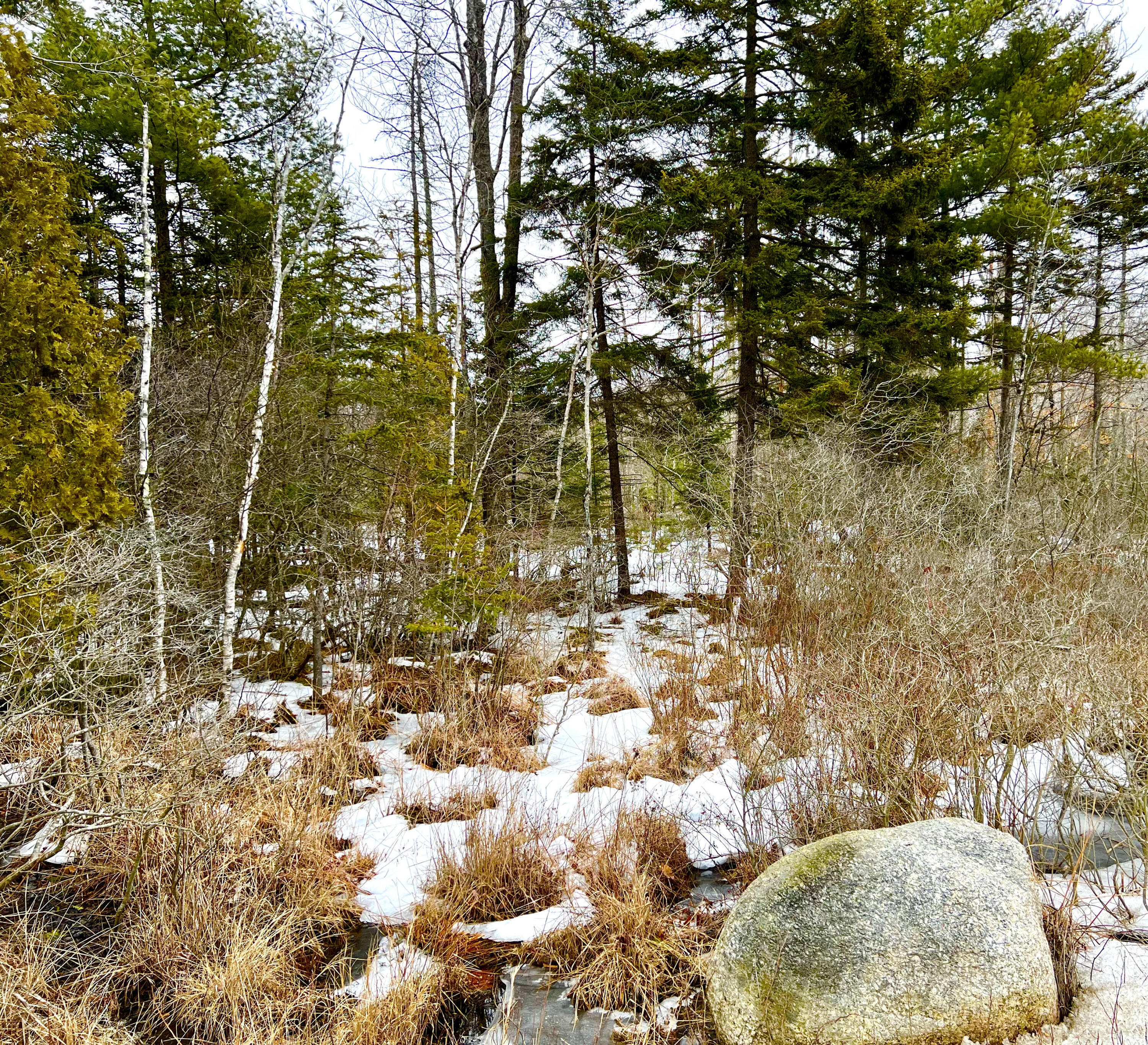 Lot 4 High Street Ellsworth ME 04605