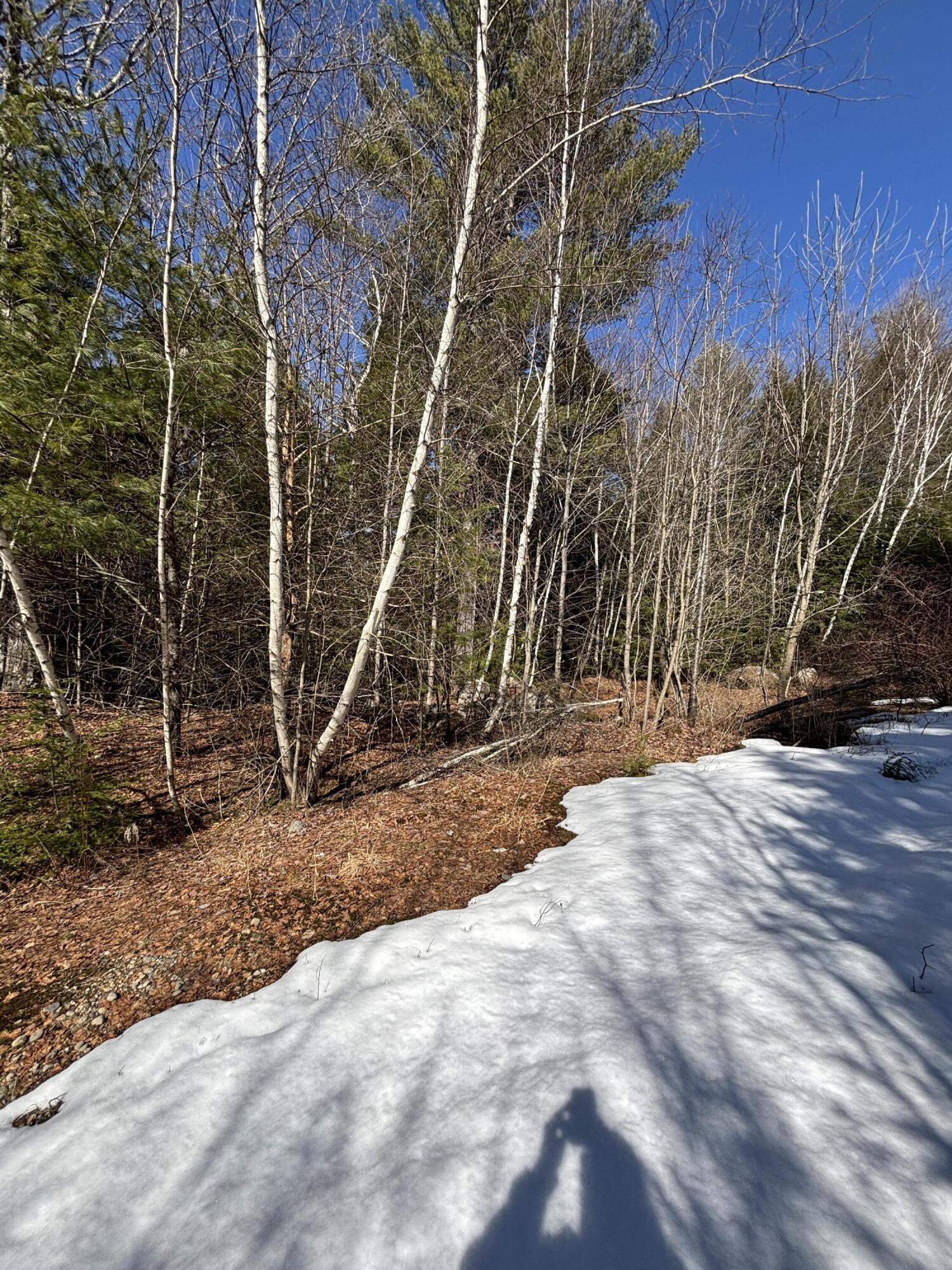 5 Bog Brook Loop West Paris ME 04289